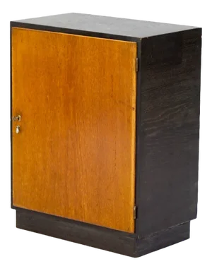 Ebonised and Oak Cupboard by Franz Schuster