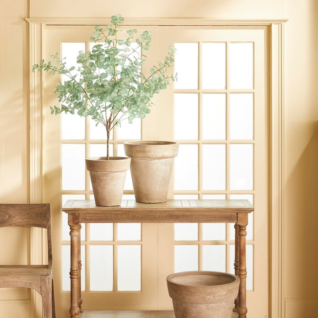 Kenneth Ludwig Chicago Eucalyptus Tree Drop-In 49" For Sale - Image 4 of 4