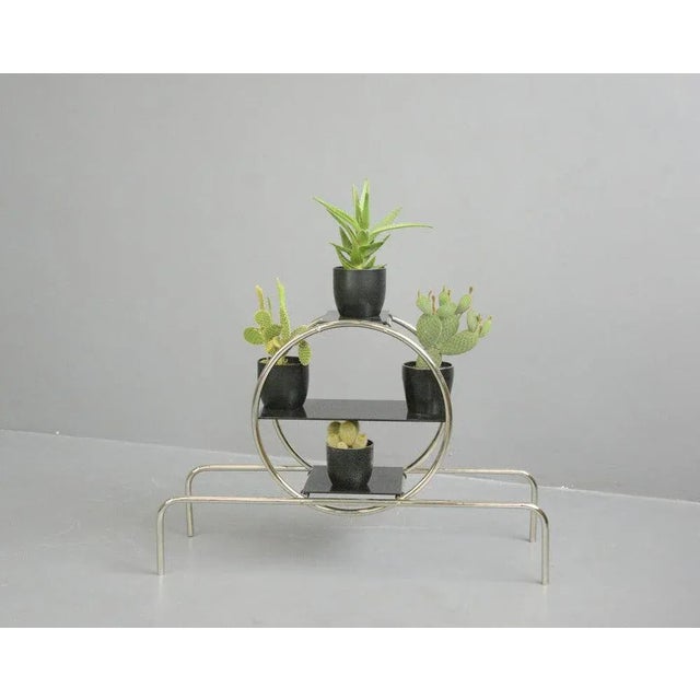 Bauhaus Plant Stand by Emile Guyot for Thonet, 1930s For Sale - Image 6 of 10