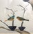 Chelsea House “The Aviary” Hand-Painted Watercolor on Silk For Sale - Image 9 of 15