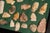Native American Early 20th Century Framed Native American Stone Arrowhead Collection For Sale - Image 3 of 6