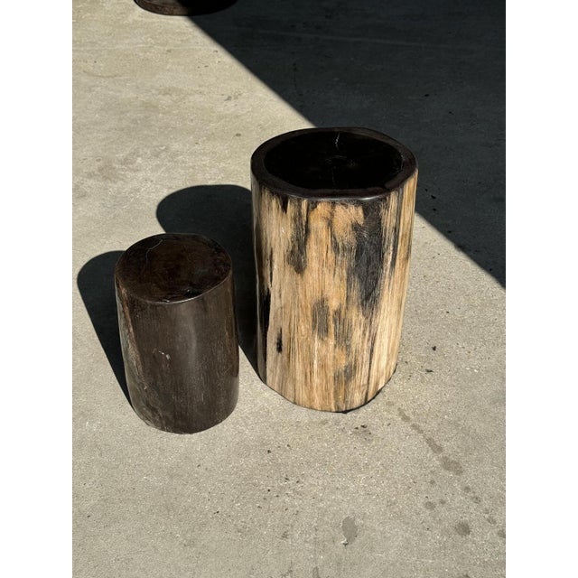 Petrified Wood Side Table with Black Heart For Sale - Image 17 of 18