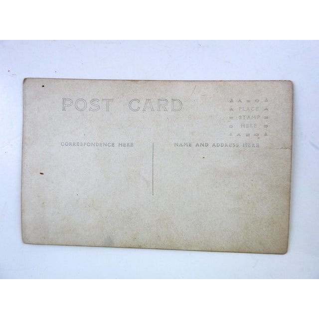 Early 20th Century Photograph Badger in a Barrel RPPC For Sale - Image 4 of 4