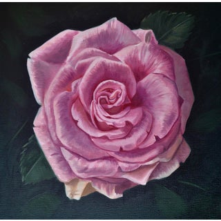 Pink Rose by Robin Hextrum | Oil on panel Pink rose flower against a dark background. For Sale