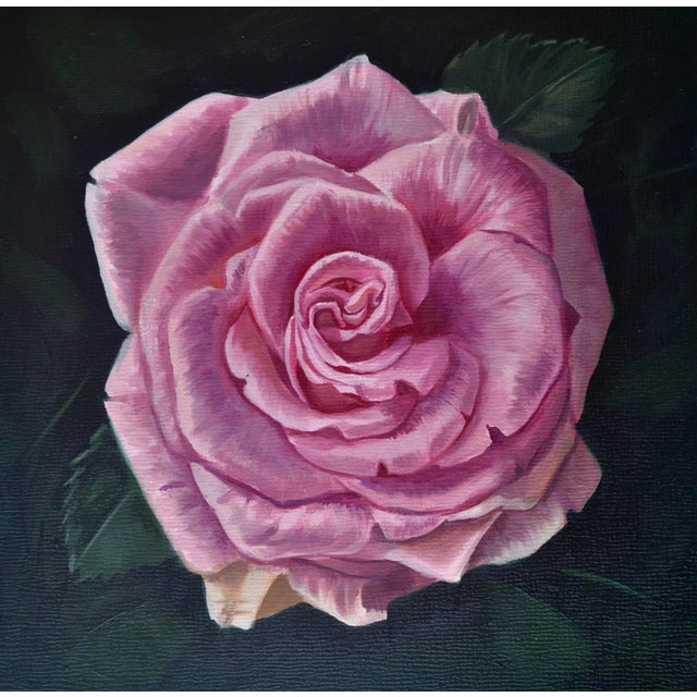 Pink Rose by Robin Hextrum | Oil on panel Pink rose flower against a dark background. For Sale