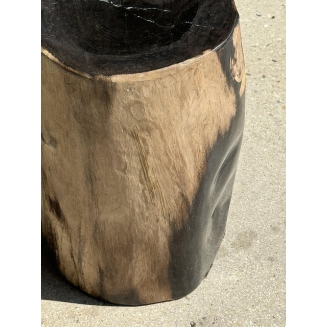 Petrified Wood Side Table with Black Heart For Sale - Image 16 of 18