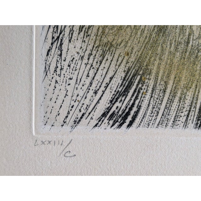 1960s Salvador Dali, Old Faust, Hand-Signed Etching with Gold, 1969 For Sale - Image 5 of 7