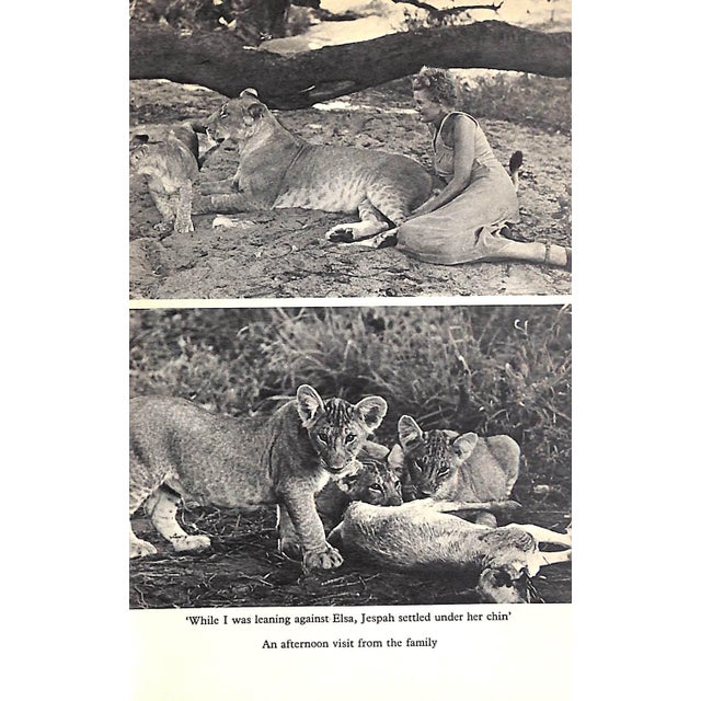 "Living Free: The Story of Elsa and Her Cubs" 1961 Adamson, Joy For Sale In New York - Image 6 of 9