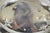 Vintage Eton Victorian Silver Plated Large Oval Covered Warming Dish Platter For Sale - Image 17 of 18