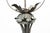 Gray Antique Wrought Iron Floor Lamp, 1890s For Sale - Image 8 of 18