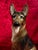Art Deco Vintage Rosenthal Germany Hand Painted German Shepherd Dog Figurine For Sale - Image 3 of 12