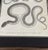 Early 19th Century 1802 Framed Antique Snake Engraving After Seba | Dark Academia Natural History Wall Art For Sale - Image 5 of 7