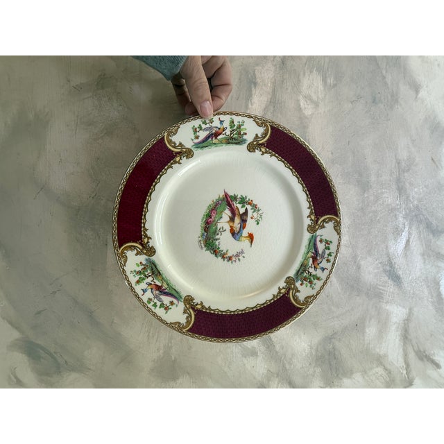 Myott Son & Co. 1940s Myott Chelsea Bird Dinner Plates 9 7/8” Burgundy Transferware England - Set of Eight (8) For Sale - Image 4 of 12