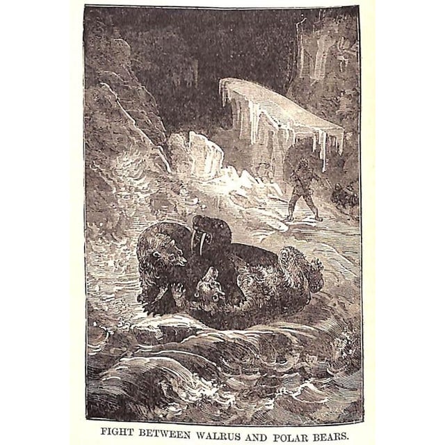 Paper "The Water World" 1886 Van Dervoort, Prof. J. W. For Sale - Image 7 of 12