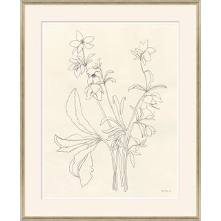 Helebore Study I Framed Art Print by Susan Hable For Sale
