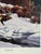 1992 Jocelyn Lillpop Russell Under Mineral Point Signed Numbered Wildlife Print Elk San Juan Mtn. Range For Sale - Image 4 of 9