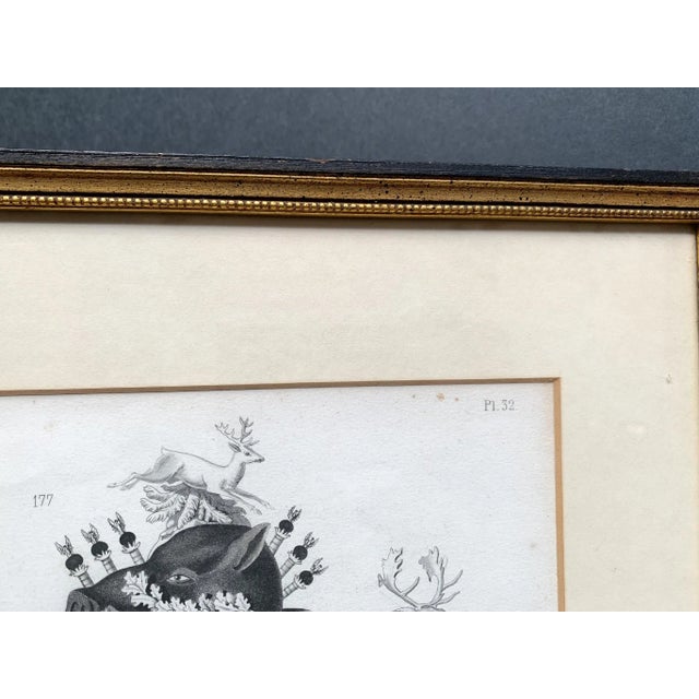 Antique Engravings From La Cuisine Classique - a Set of 4 For Sale In New York - Image 6 of 13