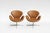 Brown Vintage Swivel Swan Chairs in Cognac Leather by Arne Jacobsen for Fritz Hansen, 1950s, Set of 2 For Sale - Image 8 of 8