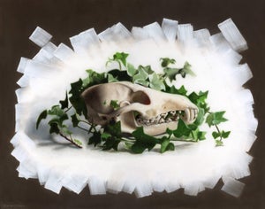 Resilience by Kevin A. Moore | Oil on panel Skull surrounded by ivy leaves.
