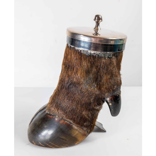 19th Century Victorian Taxidermy Moose Hoof Knuckle Box or Ashtray For Sale - Image 4 of 10