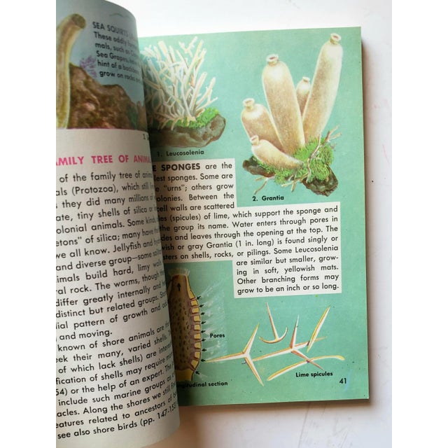 Mid 20th Century 1955 Vintage Beach Marine Guide Seashores Paperback Book For Sale - Image 5 of 10