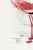 Lesser Flamingo by C. G. Finch-Davies, Vintage Reproduction Bird Art Print, 40" × 60" For Sale In Buffalo - Image 6 of 7