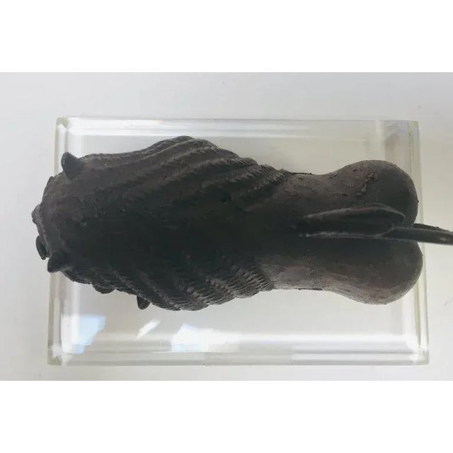 Antique Lion Beast Cast Bronze Figurine For Sale - Image 10 of 13