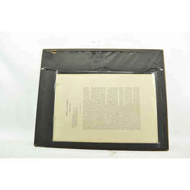 19th Century Original Antique John Gould Grus Cinerea Color Bird Realism Lithograph Reproduction Print For Sale - Image 5 of 6