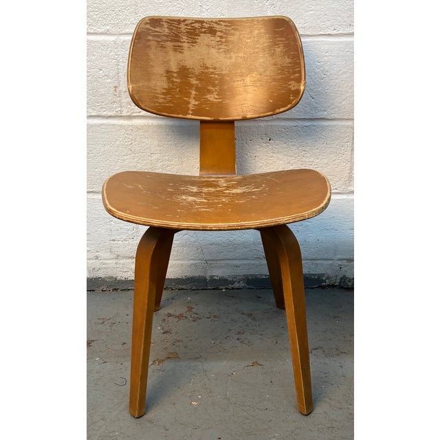 Brown Mid 20th Century Set of Four Elegant Bentwood Chairs by Bruno Weil for Thonet For Sale - Image 8 of 13