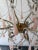 Pink French Pink Opaline Murano Drops Rock Crystal Swags Chandelier, Circa 1920French Pink Opaline Murano Drops Rock Crystal Swags Chandelier, Circa 1920 For Sale - Image 8 of 13