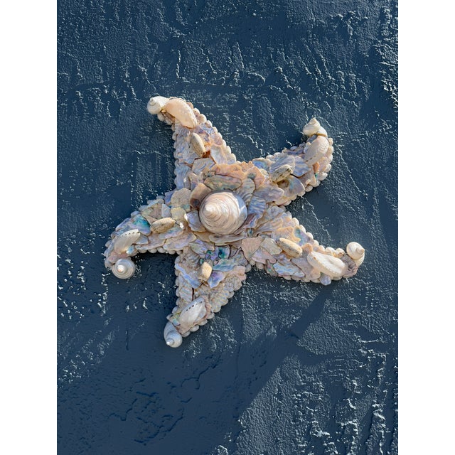 CSS Seashell Dancing Starfish For Sale In West Palm - Image 6 of 6