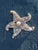 CSS Seashell Dancing Starfish For Sale In West Palm - Image 6 of 6