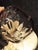 Large Lilac and Clear Murano Glass Bowl, 1970s For Sale - Image 4 of 5