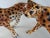 Chocolate 1970s Vintage Ceramic Cheetah Leopard Figurines - a Pair For Sale - Image 8 of 13