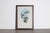 Mr John Gould's tropical framed Bird prints 1955 taken from his limited edition of 1000. The most celebrated British...