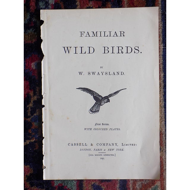 Black Antique 19th Century Wild Bird Chromolithographs - Set of 9 For Sale - Image 8 of 9
