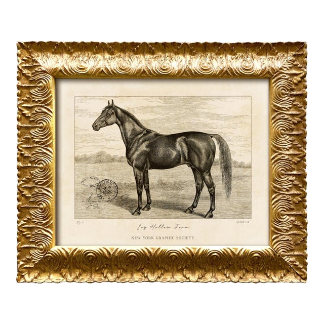 Reproduction Art Print of Vintage Horse (1) in Ornate Gold Frame For Sale