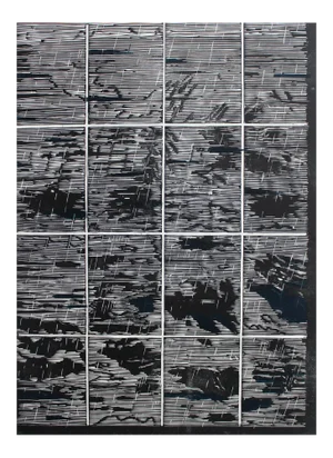 Richard Gieryszewski, Non-Accidental Forms 2005