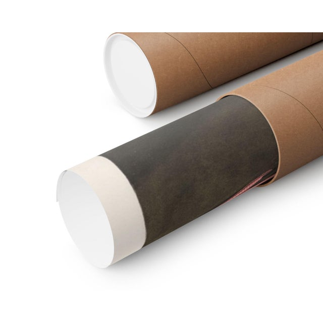 Paper Pink Flamingo (Audubon, Birds of America), Vintage Art Print Reproduction, 24″ × 36″ For Sale - Image 7 of 7