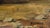 Paper Mid Century Floral Still Life in Oil on Masonite For Sale - Image 7 of 9
