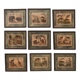 Set of Nine Gotthilf Von Schubert Natural History Chromolithographs For Sale