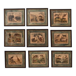 Set of Nine Gotthilf Von Schubert Natural History Chromolithographs For Sale