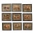 Set of Nine Gotthilf Von Schubert Natural History Chromolithographs For Sale