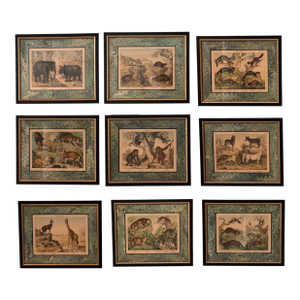 Set of Nine Gotthilf Von Schubert Natural History Chromolithographs