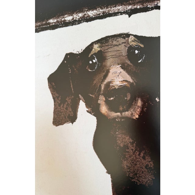 2010s R.Kaja, Dachshund in Films, Night With Film, Poster, 2017 For Sale - Image 5 of 7