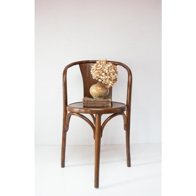 Bentwood E15 C Chair from Fischel, Former Czechoslovakia, 1920s-1930s For Sale - Image 4 of 10