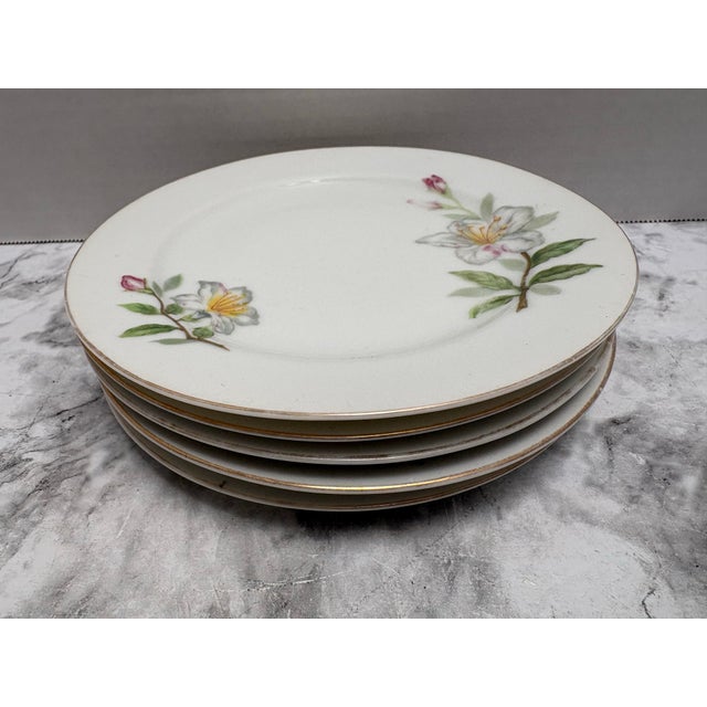 Vintage Floral Porcelain China Side Plates, Set of Five For Sale - Image 4 of 10
