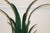 Boho Chic Vintage Tole Metal Leaf Vase, Scrolled Feet For Sale - Image 3 of 6