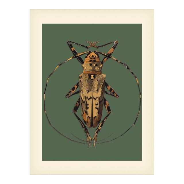 Bugs by Seguy #17 For Sale