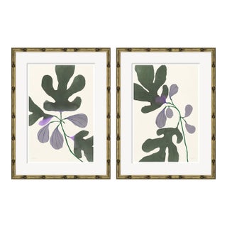 Fig I + II by Susan Hable For Sale